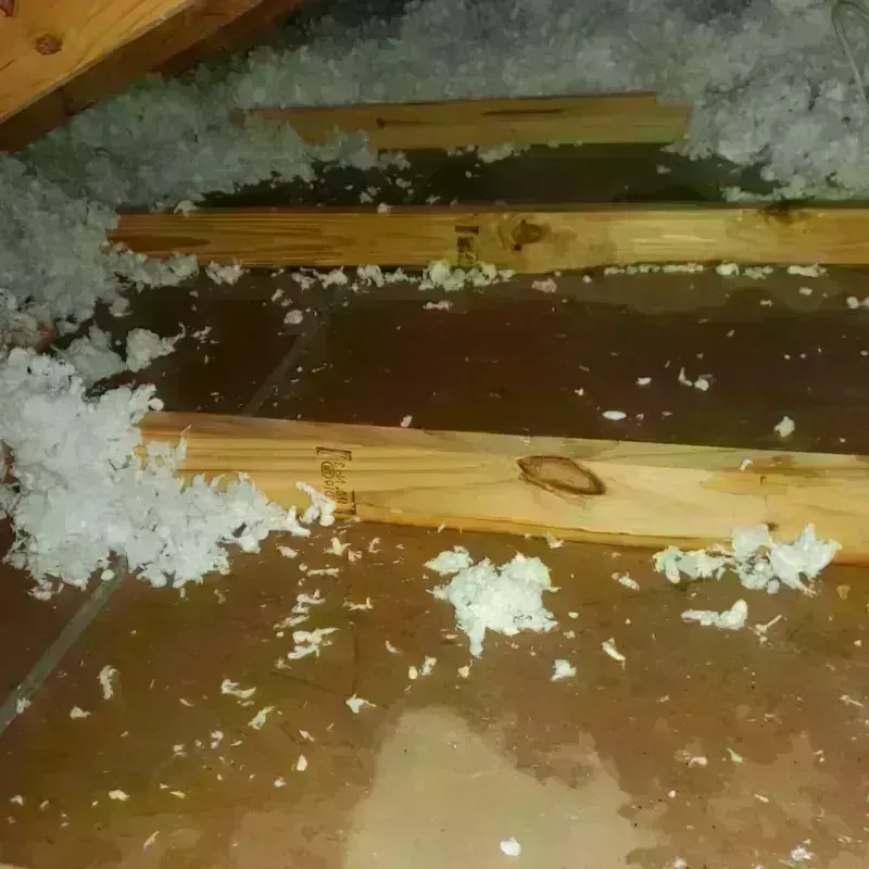 Attic Water Damage in West Jefferson, NC