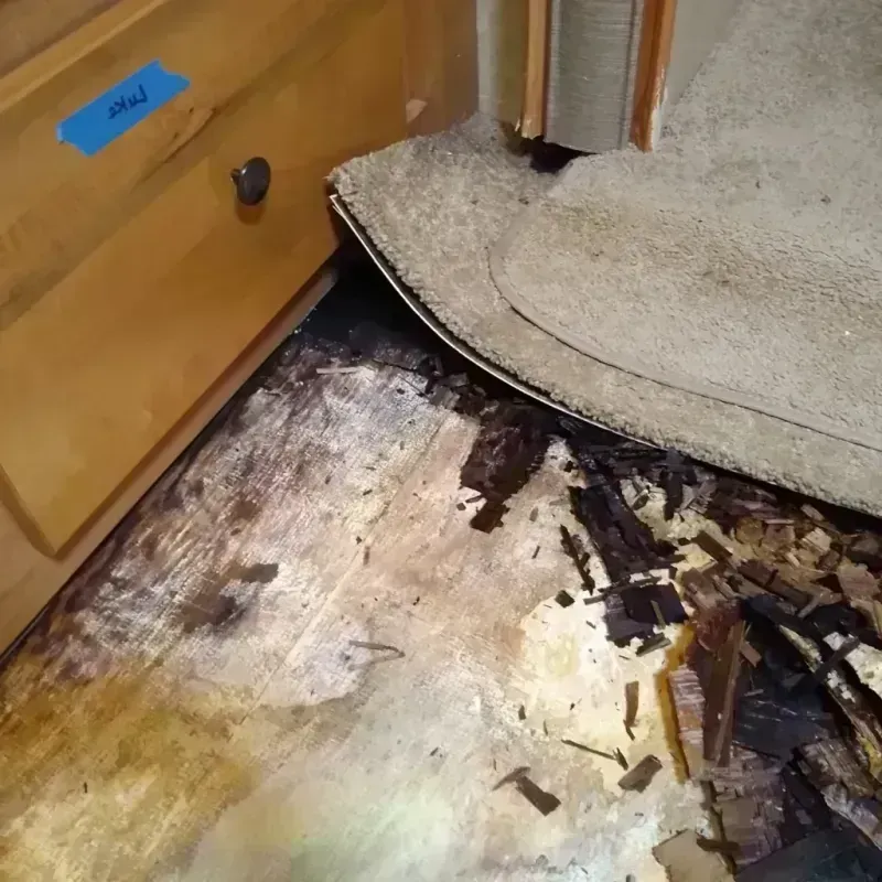 Wood Floor Water Damage in West Jefferson, NC